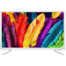 24" (60 см)  Телевизор LED DEXP F24D7100E/W белый