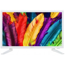 19" (48 см)  Телевизор LED DEXP H19D7100E/W белый