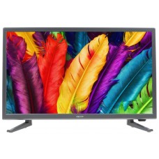 22" (55 см)  Телевизор LED DEXP F22D7100E серый